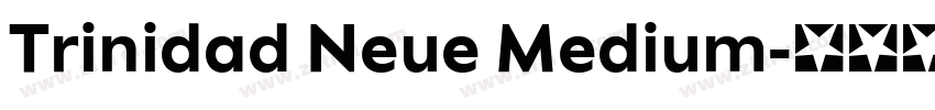 Trinidad Neue Medium字体转换